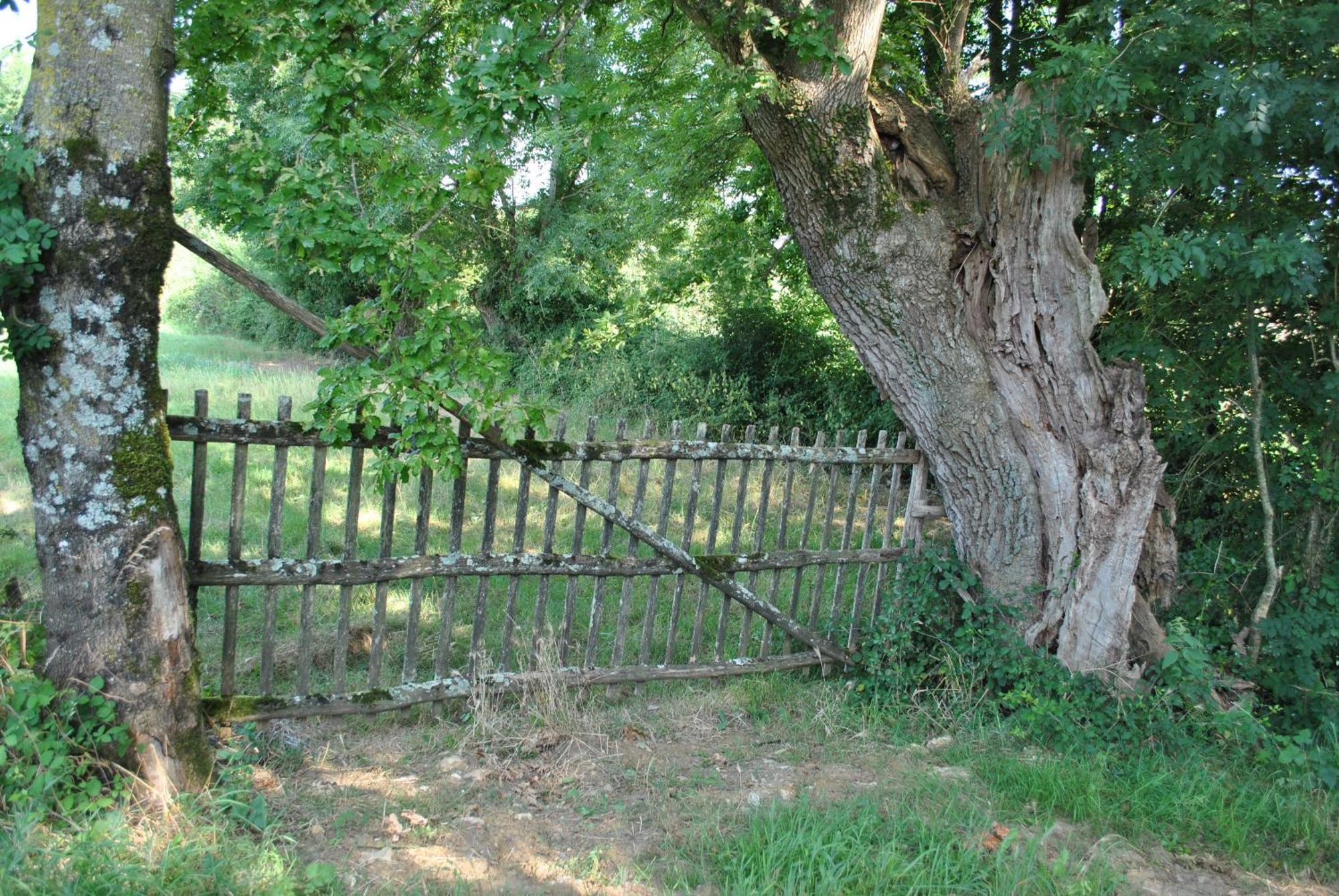 Une Chambre Au Calme En Gatine Deux-Sevrienne Vouhe  Exterior photo